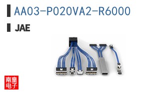 AA03-P020VA2-R6000