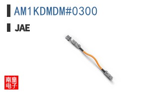 AM1KDMDM#0300