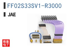 FF02S33SV1-R3000