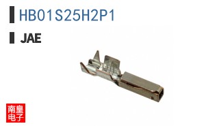 HB01S25H2P1