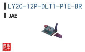 LY20-12P-DLT1-P1E-BR