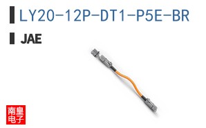 LY20-12P-DT1-P5E-BR