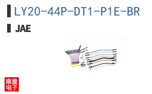 LY20-44P-DT1-P1E-BR