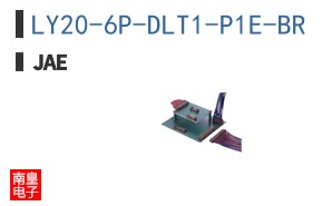 LY20-6P-DLT1-P1E-BR
