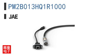 PM2B013HQ1R1000