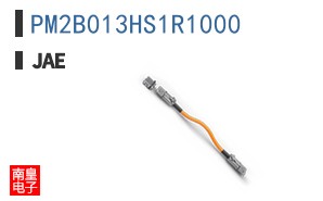 PM2B013HS1R1000