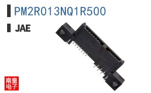 PM2R013NQ1R500