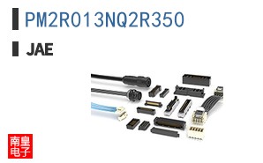 PM2R013NQ2R350