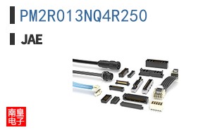 PM2R013NQ4R250