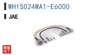 WH1S024WA1-E6000