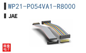 WP21-P054VA1-R8000