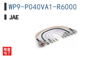 WP9-P040VA1-R6000