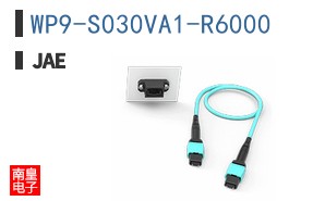 WP9-S030VA1-R6000